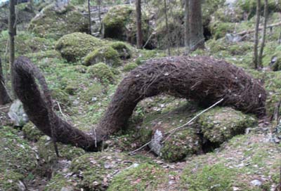 Metsän peikon jättämä taideteos hämmästytti kallion juurella