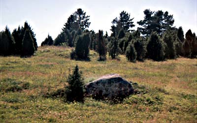 Retulansaaren Myllymäellä kasvaa komeita katajia ja alueella on useita rauta-aikaisia hautakumpuja. 